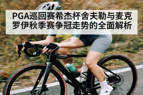 PGA巡回赛希杰杯舍夫勒与麦克罗伊秋季赛争冠走势的全面解析